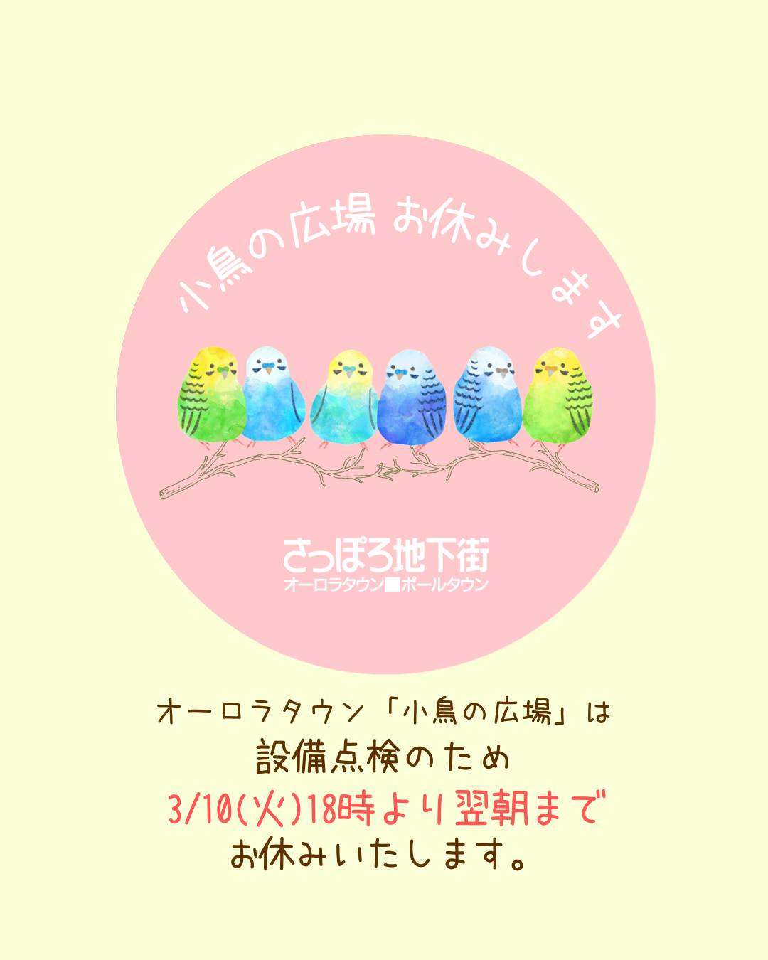 ■お知らせ
いつもさっぽろ地下街「小鳥の広場」を見守っていただいている皆さまへ
このたびオーロラタウンの「小鳥の広場」は、設備点検のため、3/10㈫18時より翌朝にかけてお休みいたします。
3/11㈬朝には通常通りご覧いただけます。