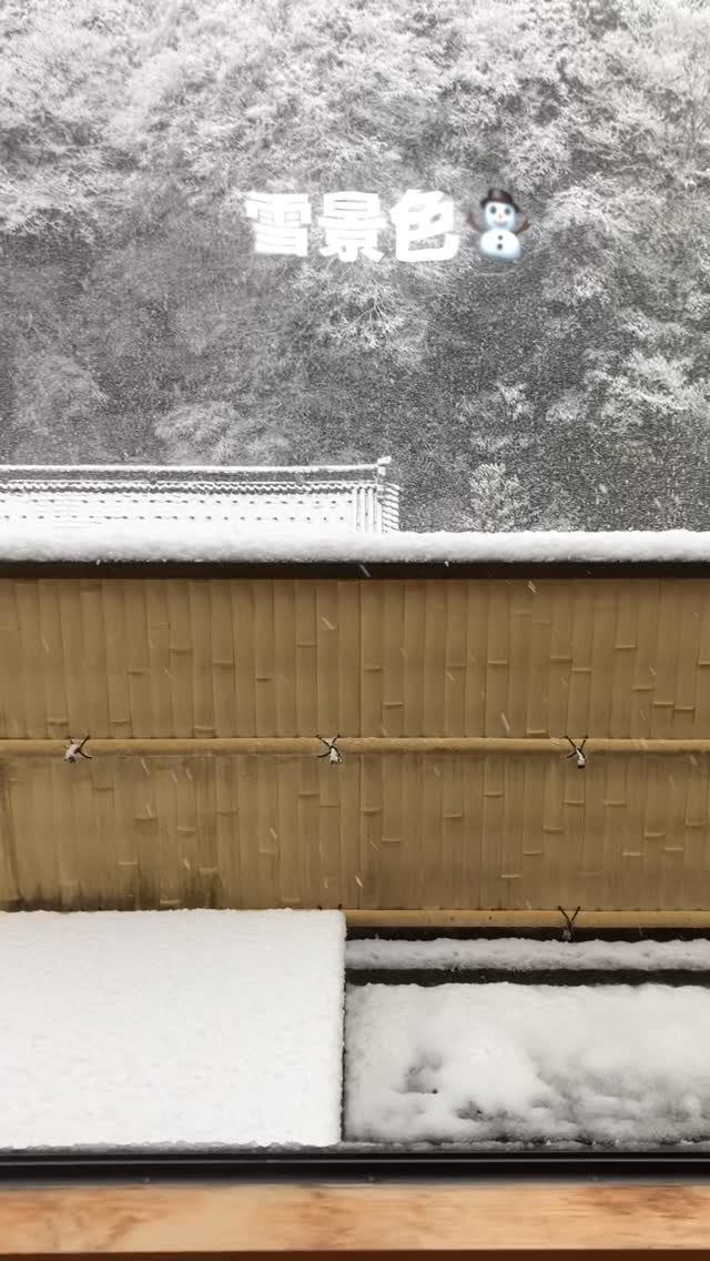 #城崎温泉#温泉宿 #蟹料理 #特別室 #四季