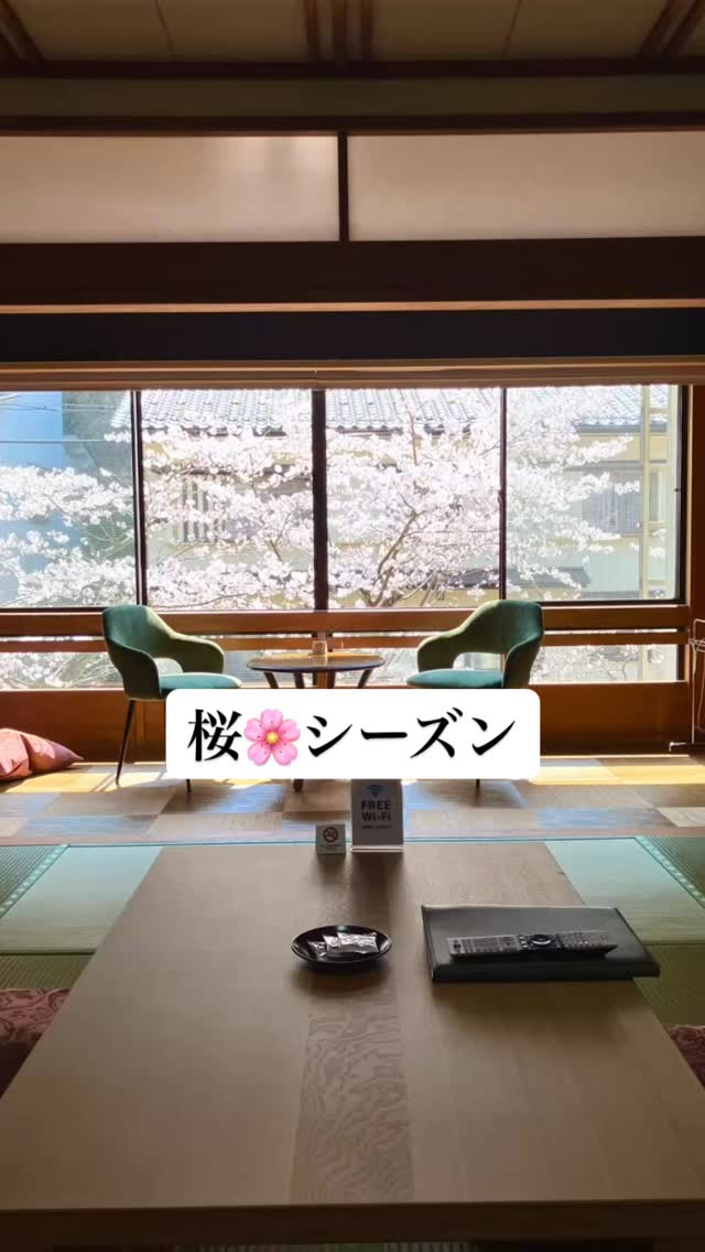 桜🌸シーズン