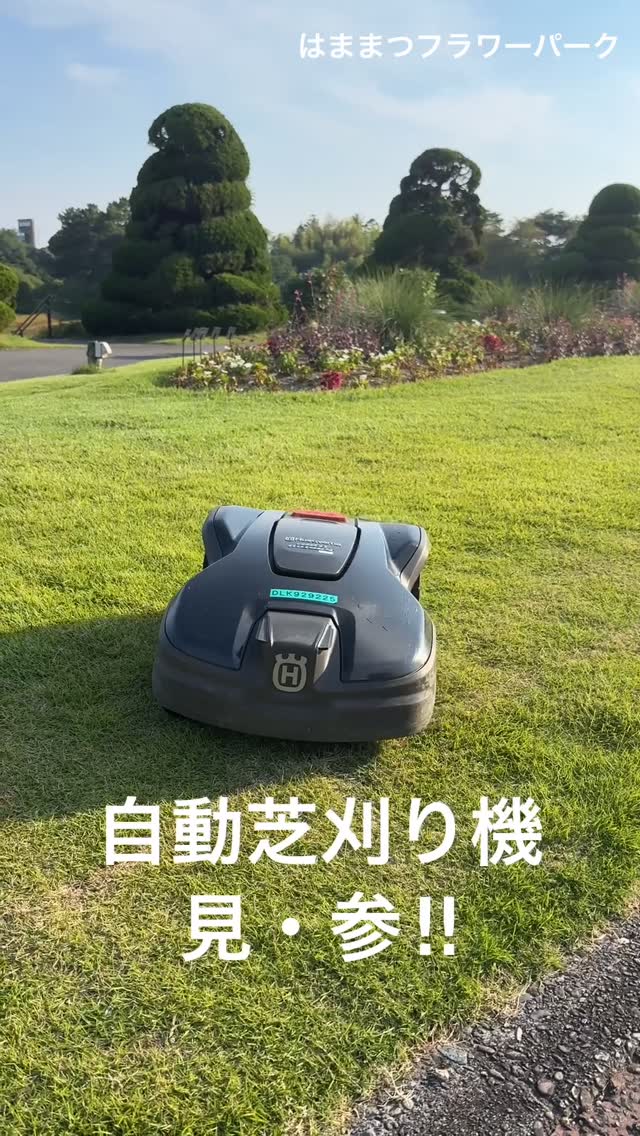 今日6/13の閉園後、芝生に蠢く物体一つ。その名も『自動芝刈り機』!広い芝生を有する当園...