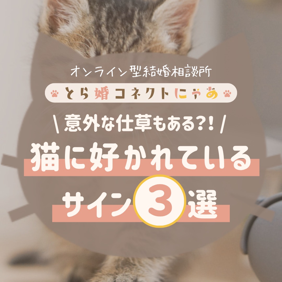 .
猫に好かれているサインとは?
意外な仕草もあるのでぜひチェックしてみてね!
.
当アカウントでは、
・猫ちゃんの癒し動画
・猫ちゃんの豆知識
・猫を飼う方の婚活情報
などを発信中です✨
.
他の投稿はこちら🐈
▶▷ @toracon_connect_nya1003 ◁◀
とら婚コネクトにゃあは、猫好きさんのための結婚相談所!
毎日個別相談会を実施中です💕
詳しくはプロフィール欄のURLからHPをご覧ください😊
#猫好きさんと繋がりたい #猫のいる生活 #にゃんすたぐらむ