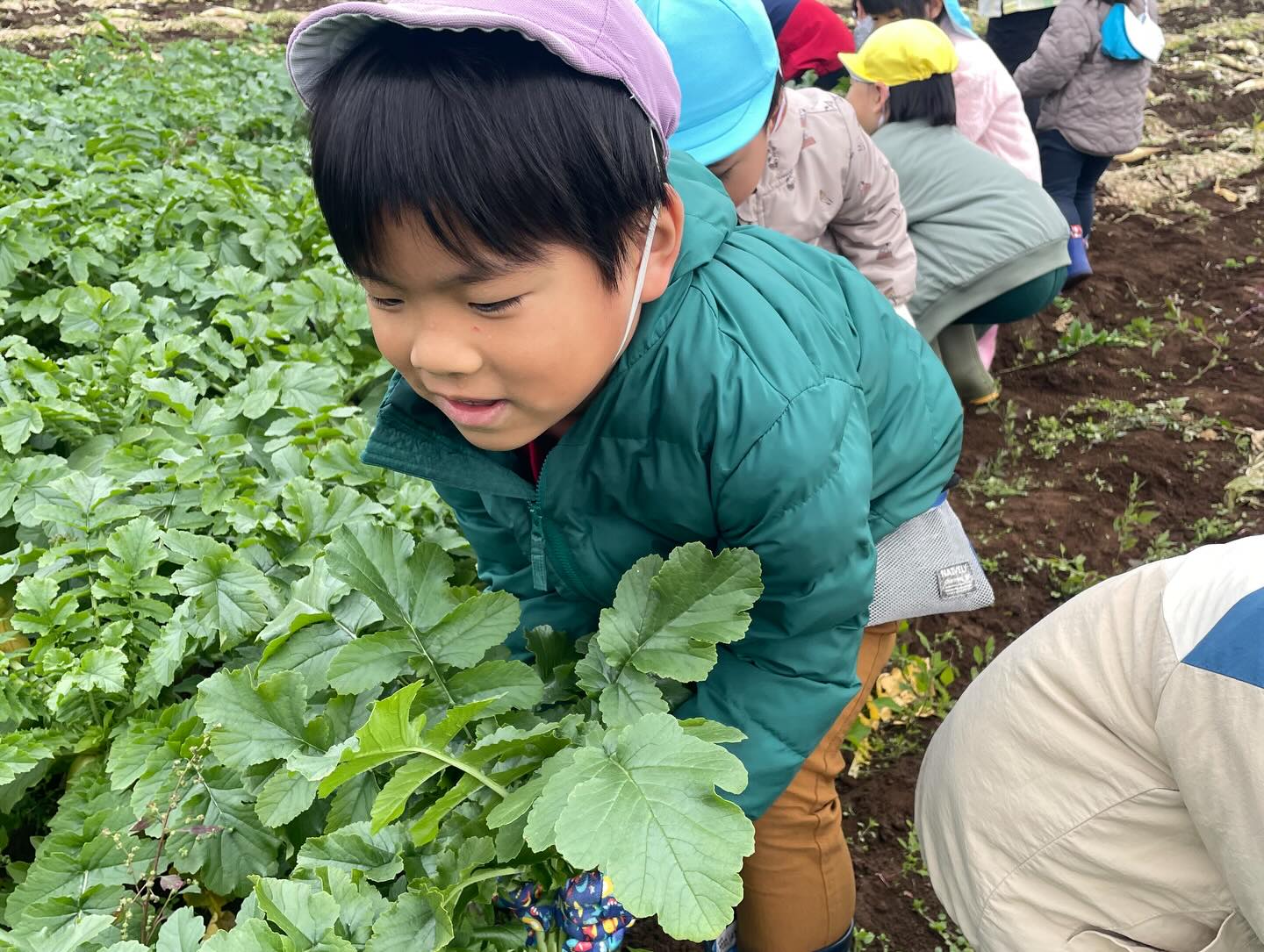 毎年お世話になっている農家さんに
今年も大根の収穫体験をさせて頂きました(^○^)
自分の背丈くらいある大根を
力一杯抜いていました!!!
美味しくいただきました(^^)
#収穫体験#大根掘り#かっぱ大根#保育園#peek-A-boo