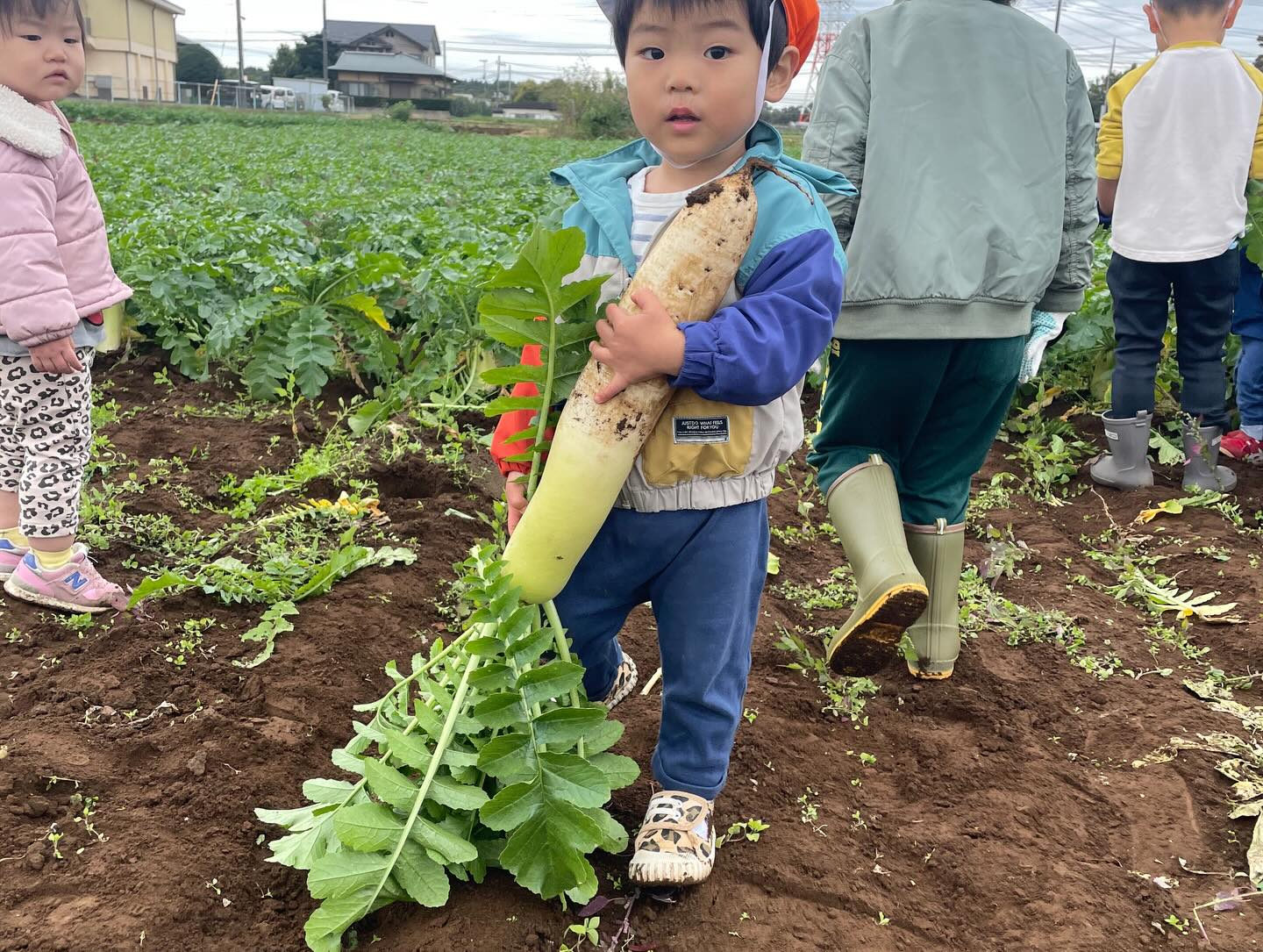 毎年お世話になっている農家さんに
今年も大根の収穫体験をさせて頂きました(^○^)
自分の背丈くらいある大根を
力一杯抜いていました!!!
美味しくいただきました(^^)
#収穫体験#大根掘り#かっぱ大根#保育園#peek-A-boo