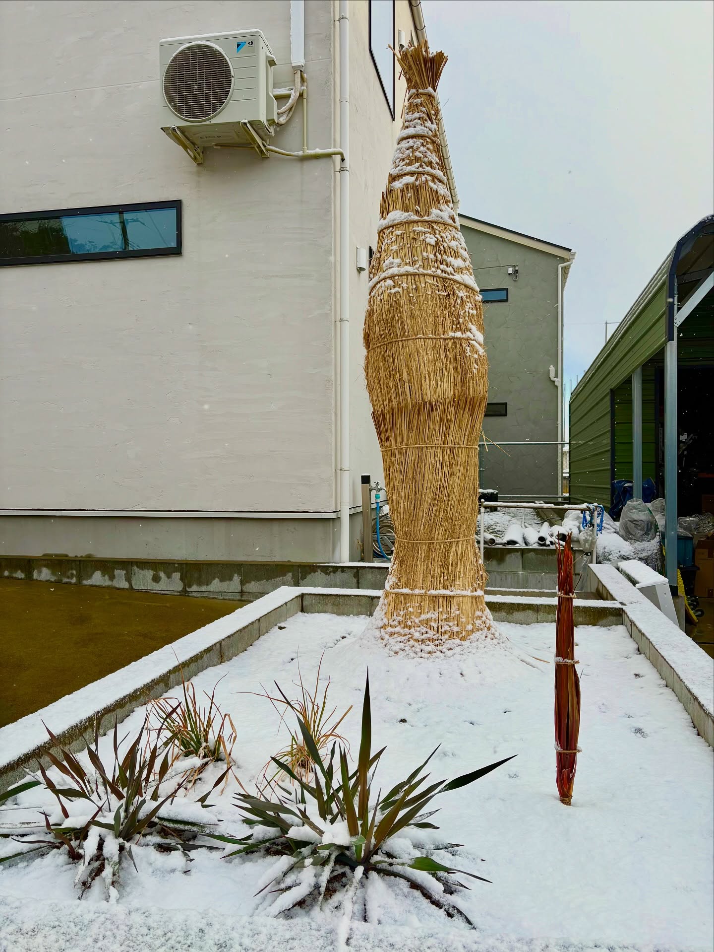 森末の南国植物たち🌴
初めての冬を越えることが出来るのでしょうか❄️
.
#森末建築設備
#Morisueのリフォーム