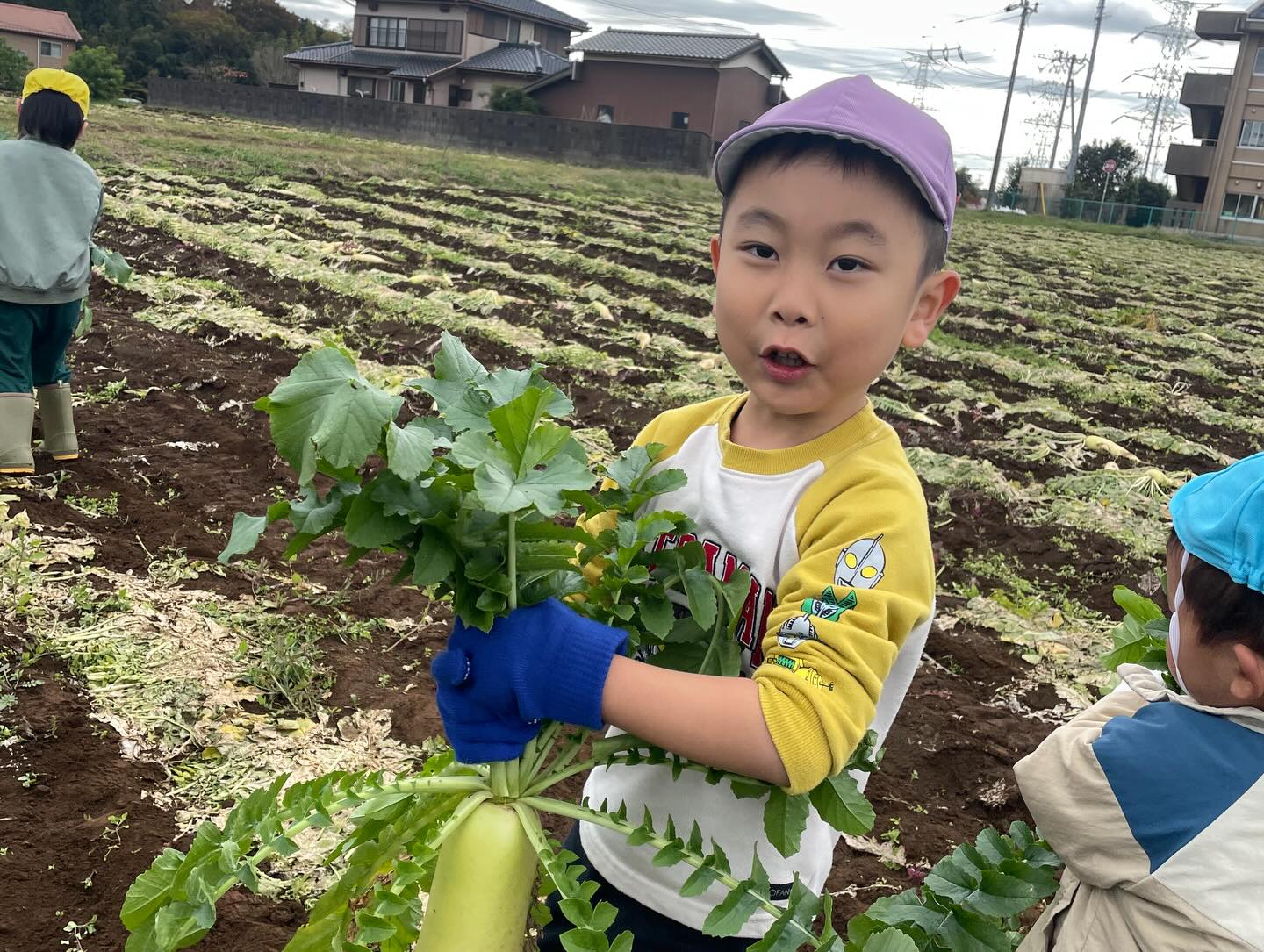 毎年お世話になっている農家さんに
今年も大根の収穫体験をさせて頂きました(^○^)
自分の背丈くらいある大根を
力一杯抜いていました!!!
美味しくいただきました(^^)
#収穫体験#大根掘り#かっぱ大根#保育園#peek-A-boo