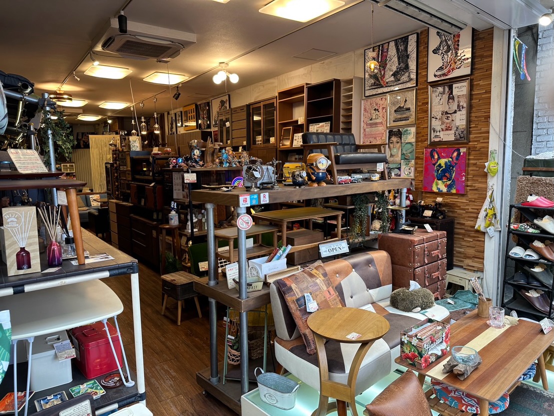家具のウスイ!新年も元気に営業しておりますー
朝からたくさんのお客様にご来店いただいております!
特に新年はスリッパがめっちゃ人気です!
初荷も届きましたのでぜひー皆様ご来店いただき、お試しお確かめくださいー
#2026年 #スリッパ #雑貨 #初売り #武蔵小山
