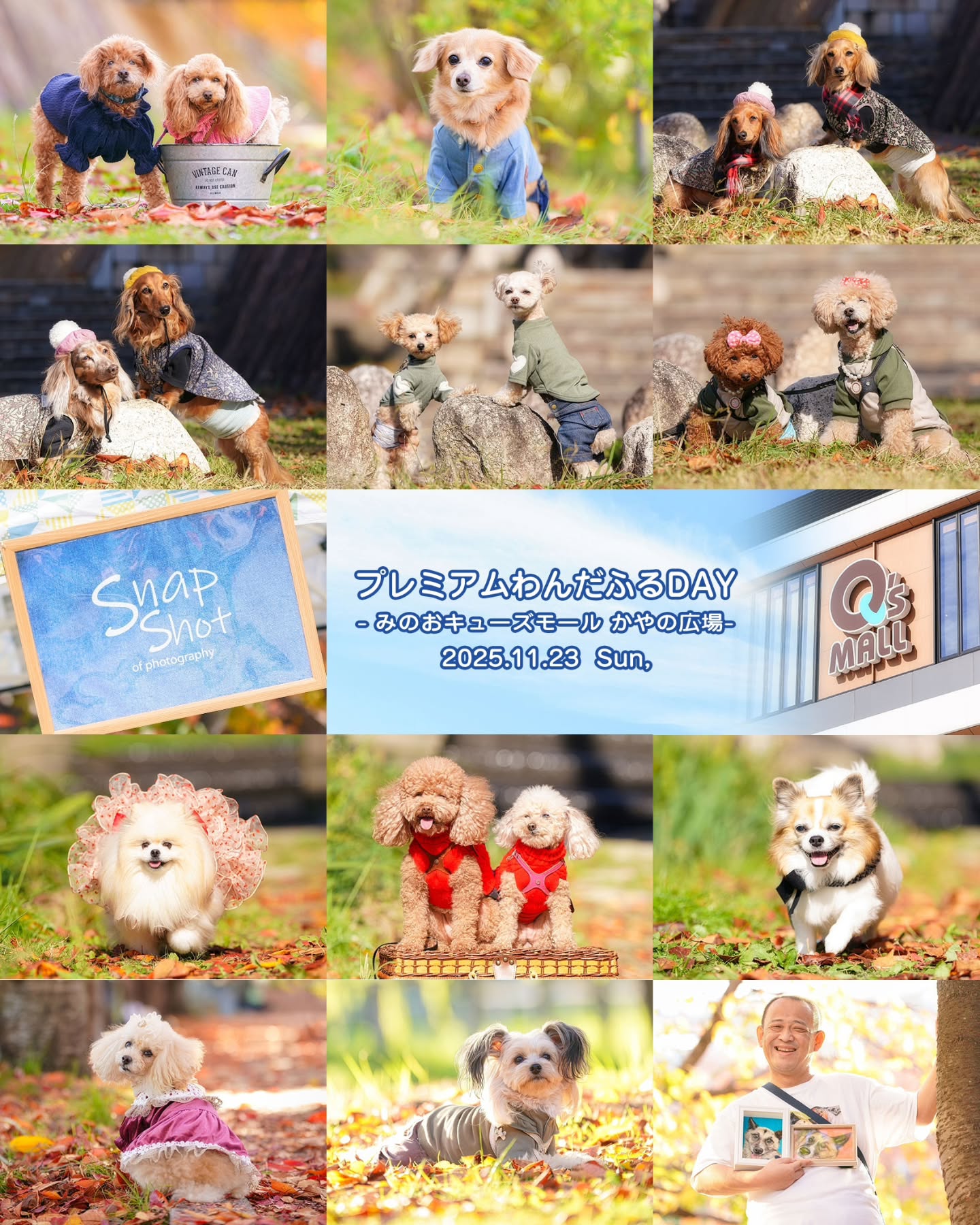 📷✨
2025.11.23 Sun.
プレミアムわんだふるDAY
- みのおキューズモール かやの広場 -
@wonderful_day_qs
プレミアムと言うことで、この日のわんだふるDAYはたくさんのお客様で賑わっていました🐶✨
プレミアムは、いつもファションショーの撮影を担当しているので、通常の撮影の予約枠は少な目で、スタートの10時の時点で「本日の受付は終了しました」を出すことに😅🙏
そんなこんなで…
天高い秋晴れの空の下、キューズモールの庭を背景に撮影させていただきました🍁🍂
ご来場ありがとうございました🙇♂️
Special Thanks …
🩷 BONITA
@koimodaisuki
@raichan0110
・
・
#ペット撮影
#わんだふるDAY
#みのおキューズモール
#とぱ
#SnapShotofPhotography