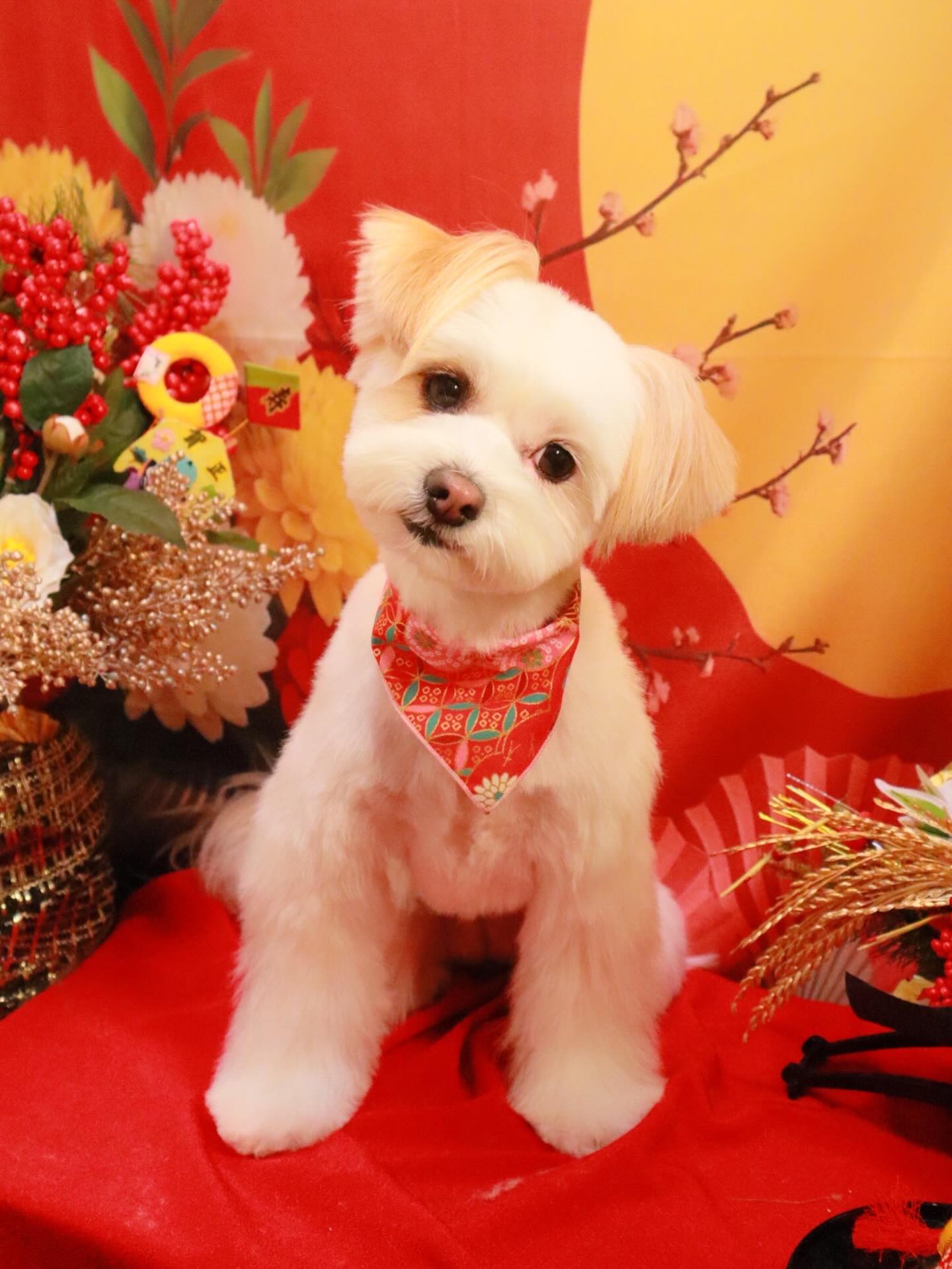 Instagramに投稿された画像