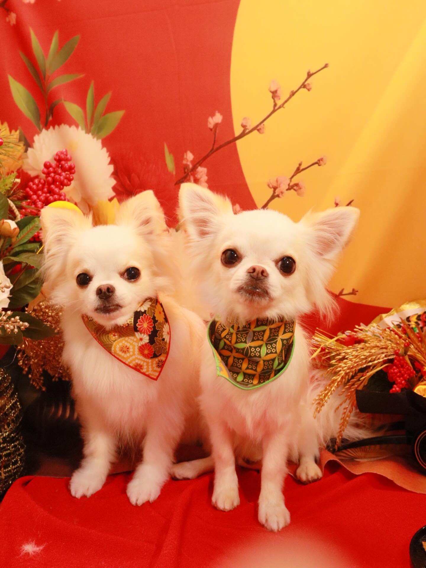 Instagramに投稿された画像