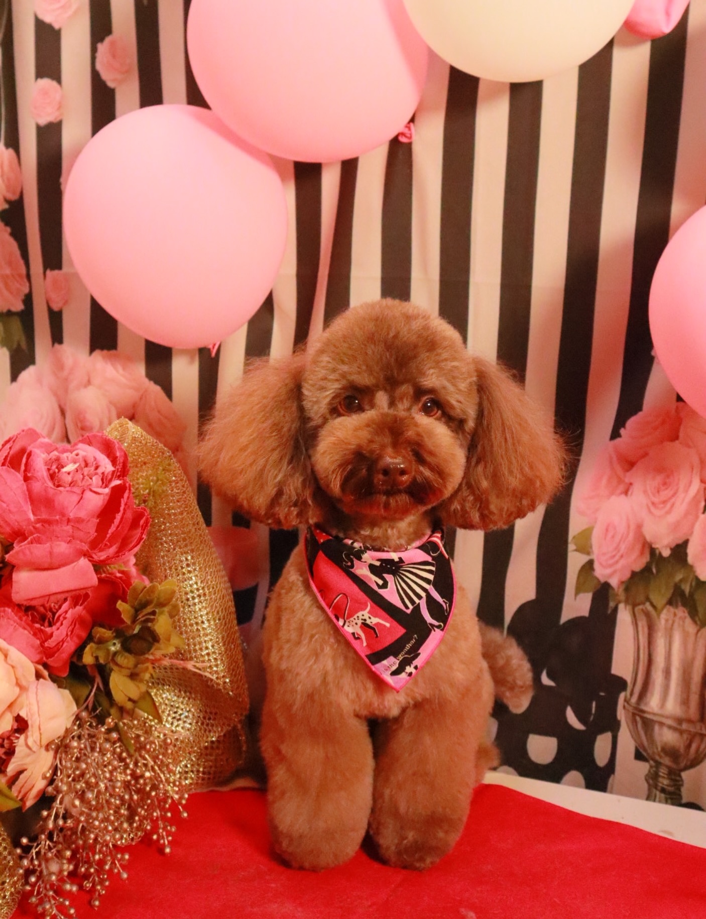 Instagramに投稿された画像