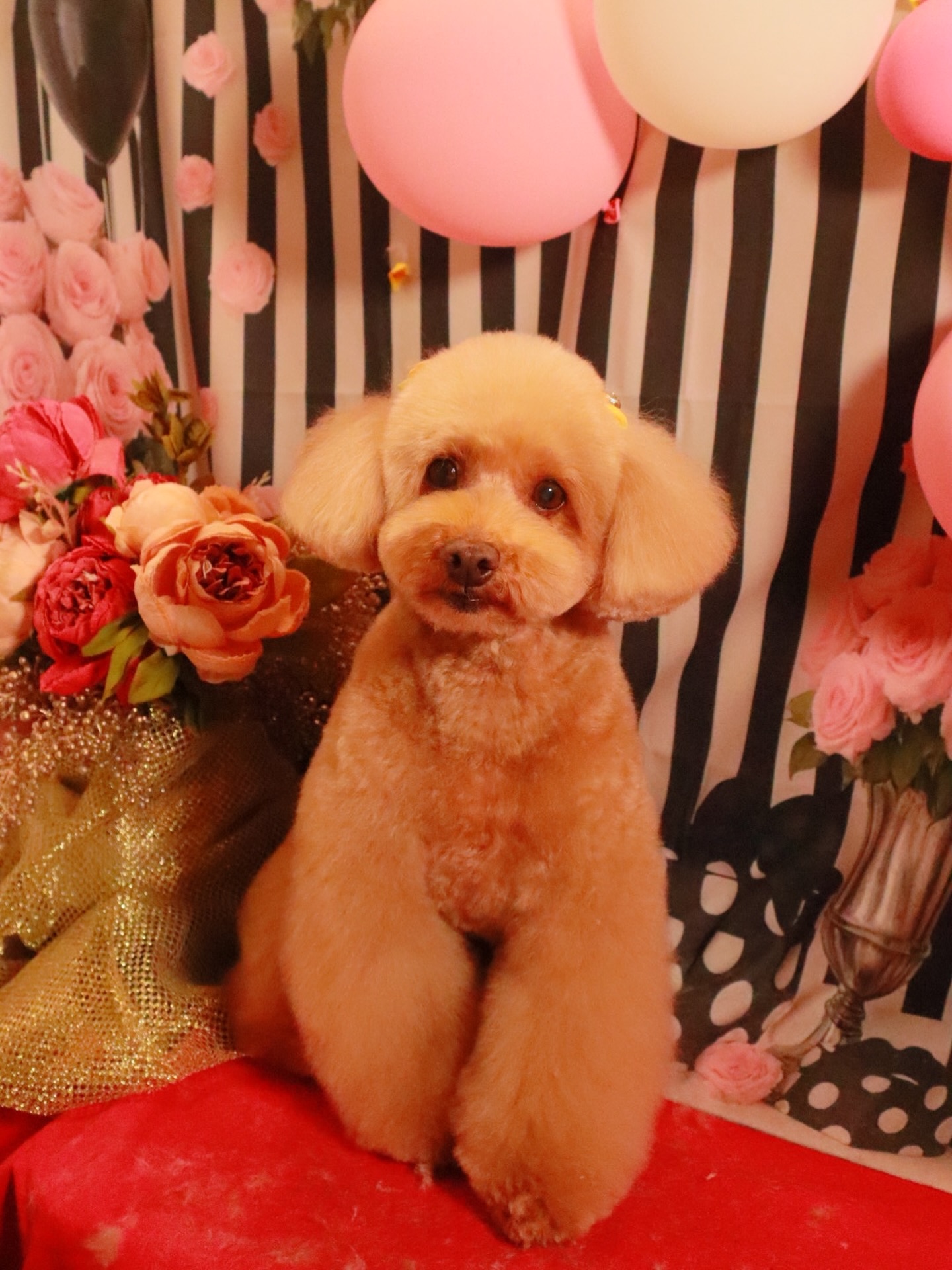 Instagramに投稿された画像