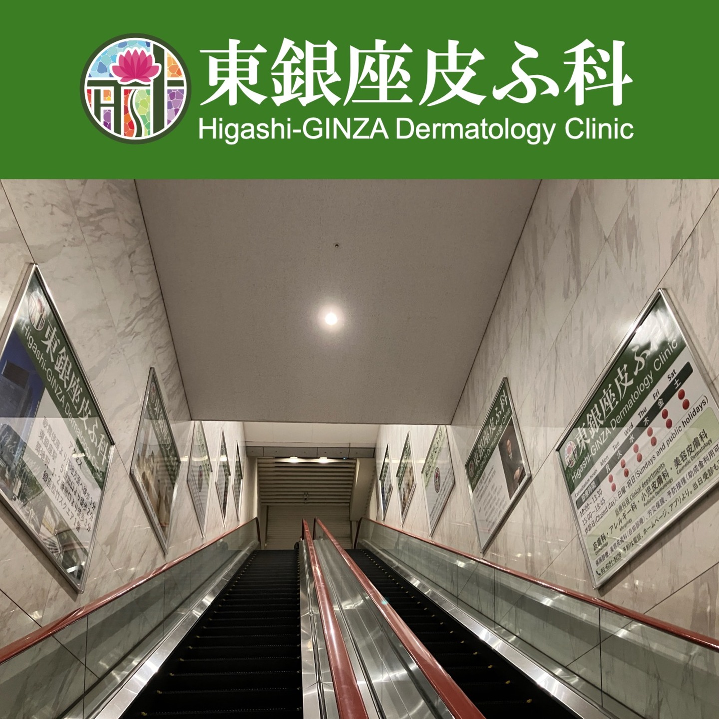 東銀座皮ふ科
3月1日より31日まで
歌舞伎座のエスカレーターの両側の壁に当院の全面広告を出しました:)
院長
#東銀座皮ふ科 #トータルスキンケアクリニック銀座 #東銀座 #築地 #皮膚科 #クリニック #聖路加 #銀座松竹スクエア #歌舞伎座 #広告 #何か良いことあるかも
