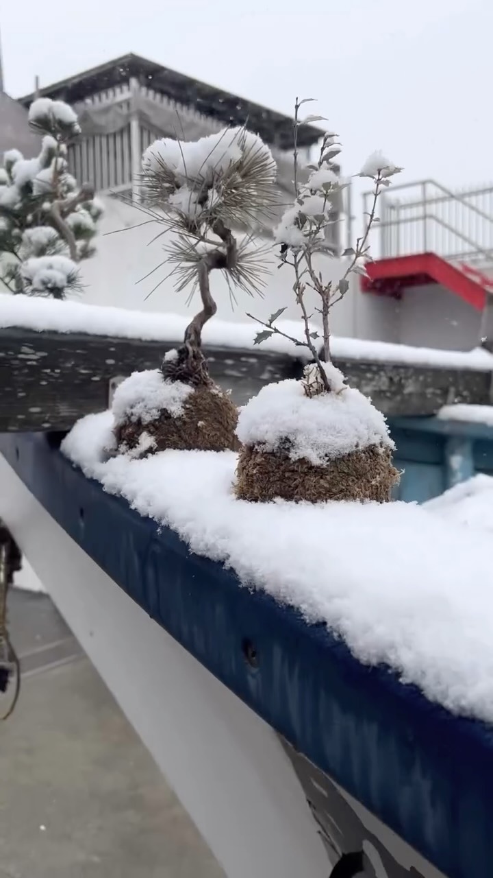 2026年度殿網始動準備完了♪
今年もスタッフ一同一丸となって皆さまをお迎えいたします!本日は更なるサービス向上を目指して英気を養いました♪乞うご期待ください!
2026年度ご予約承っております!
楽しんでいきましょう!
#殿網 #地引網 #手ぶらでバーベキュー #ご予約うけたまわり中