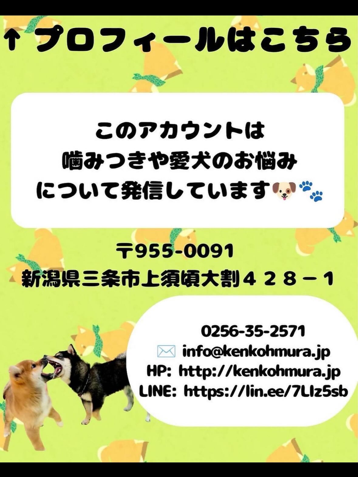 マロンちゃん🐶
本日もマロンちゃんが大好きなリラちゃんといっしょに椅子の上で戯れあったり、挨拶をしあったりして幸せそうに暮らしていました🤭
🐾🐶愛犬のお悩みご相談ください🐶🐾
@kenkohmura_official
↑フォロー待ってます↑
〒955-0091 新潟県三条市上須頃大割428−1
☎︎ 0256-35-2571
✉️ info@kenkohmura.jp
HP: http://kenkohmura.jp
LINE: https://lin.ee/7LIz5sb
#犬幸村#犬の幼稚園 #吠える、噛む #犬のしつけ #トイレ
パピヨンパピヨン可愛いパピヨン大好きパピヨン倶楽部