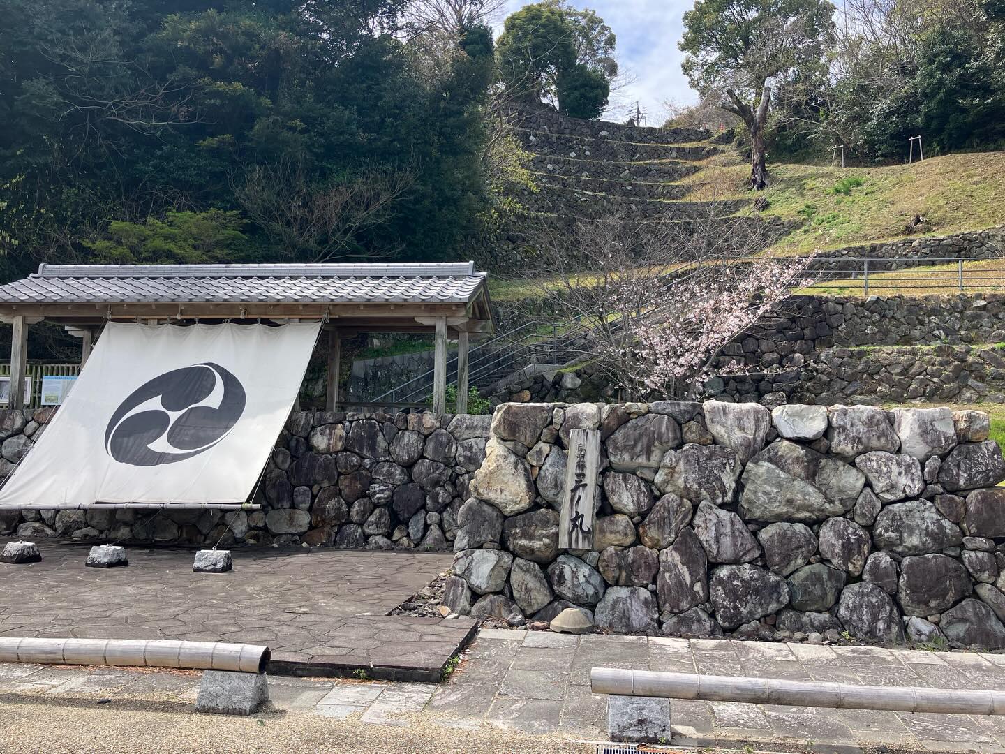 2026.3.26 現在
鳥羽城跡の桜の様子です。
開花状況は2〜3分咲きといった感じです。
#鳥羽城跡 #城山公園 #三重県鳥羽市 #桜