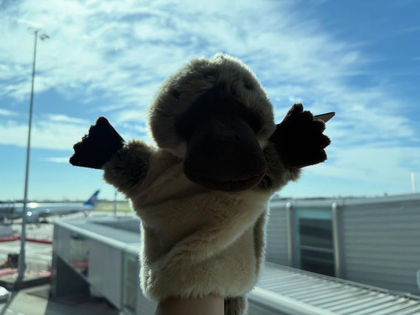 【出国します✈️】
1週間のAUS研修、よくやり切りました。
日本に帰ります。
ただ、無事に日本の家に帰るまで気を抜けません。