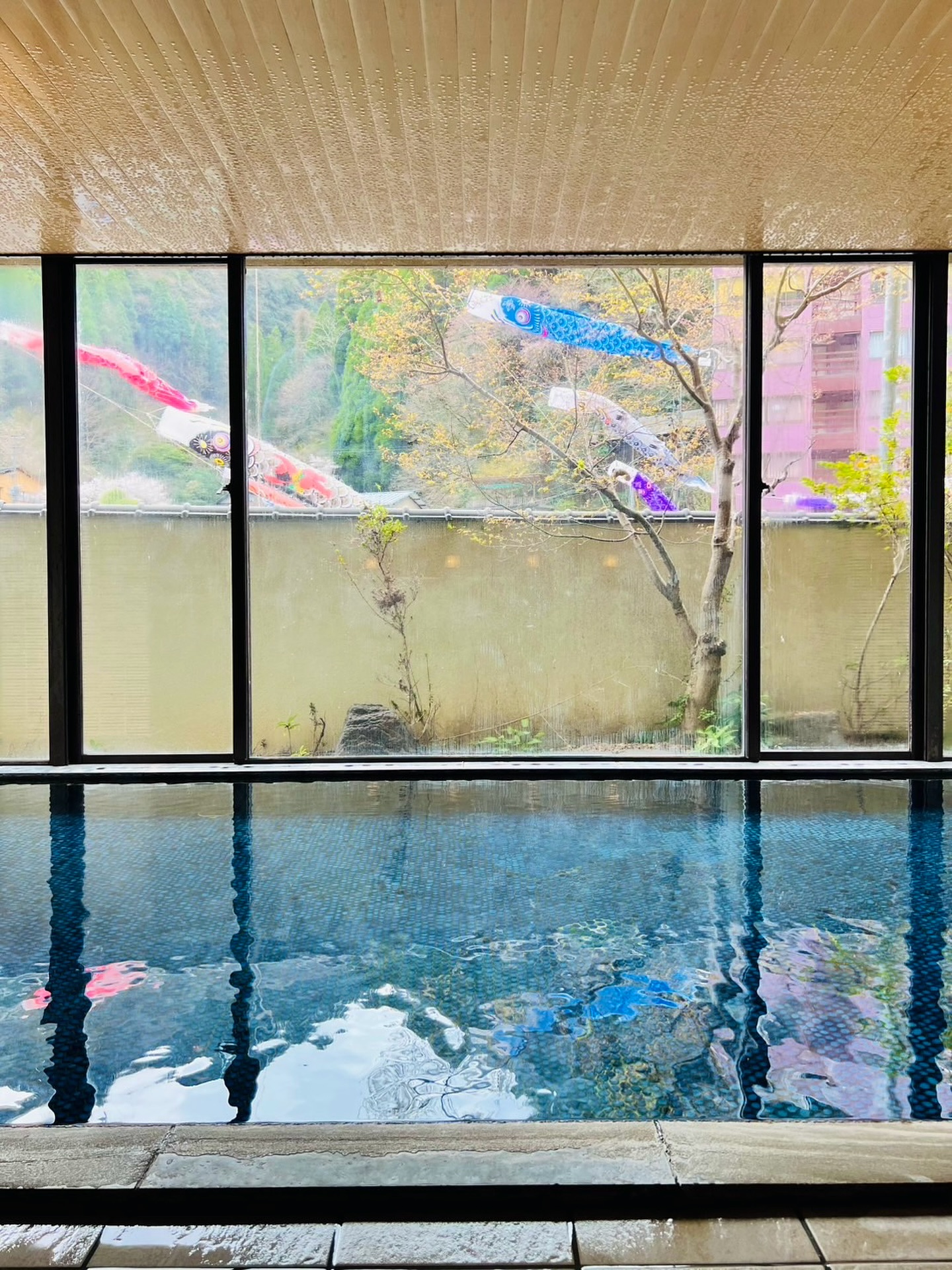 別館大自然 男湯より。
大きな窓の向こうに、鯉のぼり。
お湯に浸かりながら、ゆっくりと季節を感じる時間。
.
この時期だけの景色を、ぜひ。
.
#ひぜんや
#杖立温泉
#別館大自然
#九州旅行
#熊本旅行
#大分旅行
#鯉のぼり
#こどもの日
#九州の温泉