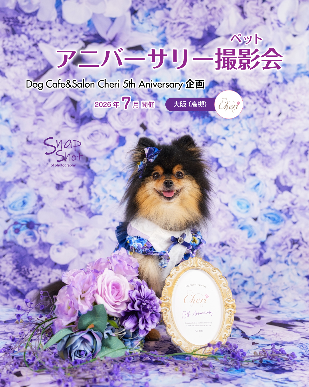 📷✨
7月にCheriさまにて開催するペット撮影会のご案内です。
5周年を迎えるDog Cafe&Salon Cheri 様のアニバーサリー 企画✨
ラベンダーカラーの花々が広がる記念日にふさわしい、華やかな世界観✨
\ アニバーサリー撮影会 /
こちらの撮影会はCheri様限定の開催となっております。
開催場所と日程 ┈┈••✼••┈┈••✼
●Dog Cafe&Salon Cheri(大阪府高槻市)
∟2026/7/5/日(11:30~LO18:00)
※上記時間内の「00分~」と「30分~」でご予約を受付けております。
※撮影時間は20分程度。
※1枠1家族様のお申込みとなっております。
※完全予約制(入れ替わり制)
※4頭以上のご参加はご相談ください。
※ワンちゃん以外のペットも大歓迎!ご相談ください!
内容 ┈┈••✼••┈┈••✼
●撮影データ:10カット以上
●ポスターアレンジ:1点(データ)
※撮影データのお渡しは、後日LINEアルバムなどのオンラインでのお渡しとなります。(400万画素)
※オリジナルサイズ(3000万画素)の撮影データを収録したDVDのお渡しも承っております(別途550円(税込))
※衣装のご用意はございません。お気に入りの衣装をご持参ください。
※15kg以上のワンちゃんはご相談ください。
※集合写真は、撮影セットの都合上、対応いたしかねる場合がございますのでご了承ください。
料金 ┈┈••✼••┈┈••✼
6,600円
※1家族様1頭の料金となります。
※2頭目から1頭追加につき1,100円
※表示金額は税込です。
開催場所のご紹介 ┈┈••✼••┈┈••✼
●Dog Cafe&Salon Cheri
大阪府高槻市南松原町1-9 1F
阪急京都線高槻市駅から徒歩5分
※店舗の隣にコインパーキングあり
@dogcafe.salon_cheri
お申し込み ┈┈••✼••┈┈••✼
店舗にて受付しております。
Cheriさまに直接お問合せください。
@dogcafe.salon_cheri
・
・
#ペット撮影
#ペットイベント
#SnapShotofPhotography
#とぱ
#わんこ
