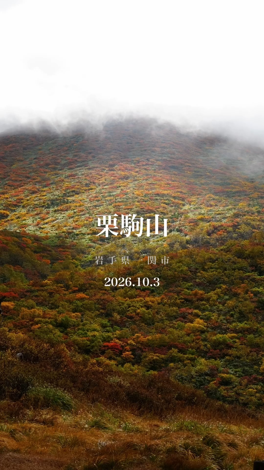 10月3日は登山の日ということで、栗駒山… 続きを読むにはこちら
